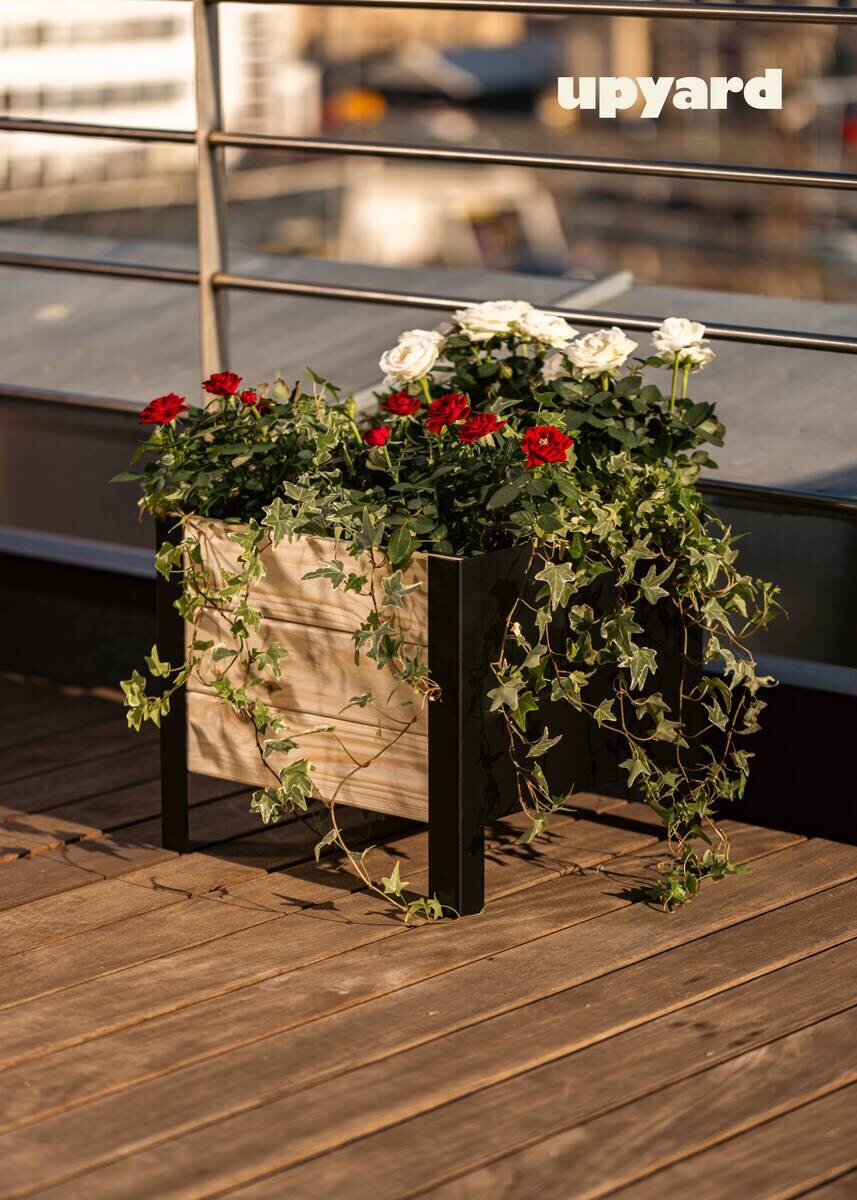 UPYARD Hochbeet MODERN natur Holz B/H/L: ca. 36x32x36 cm