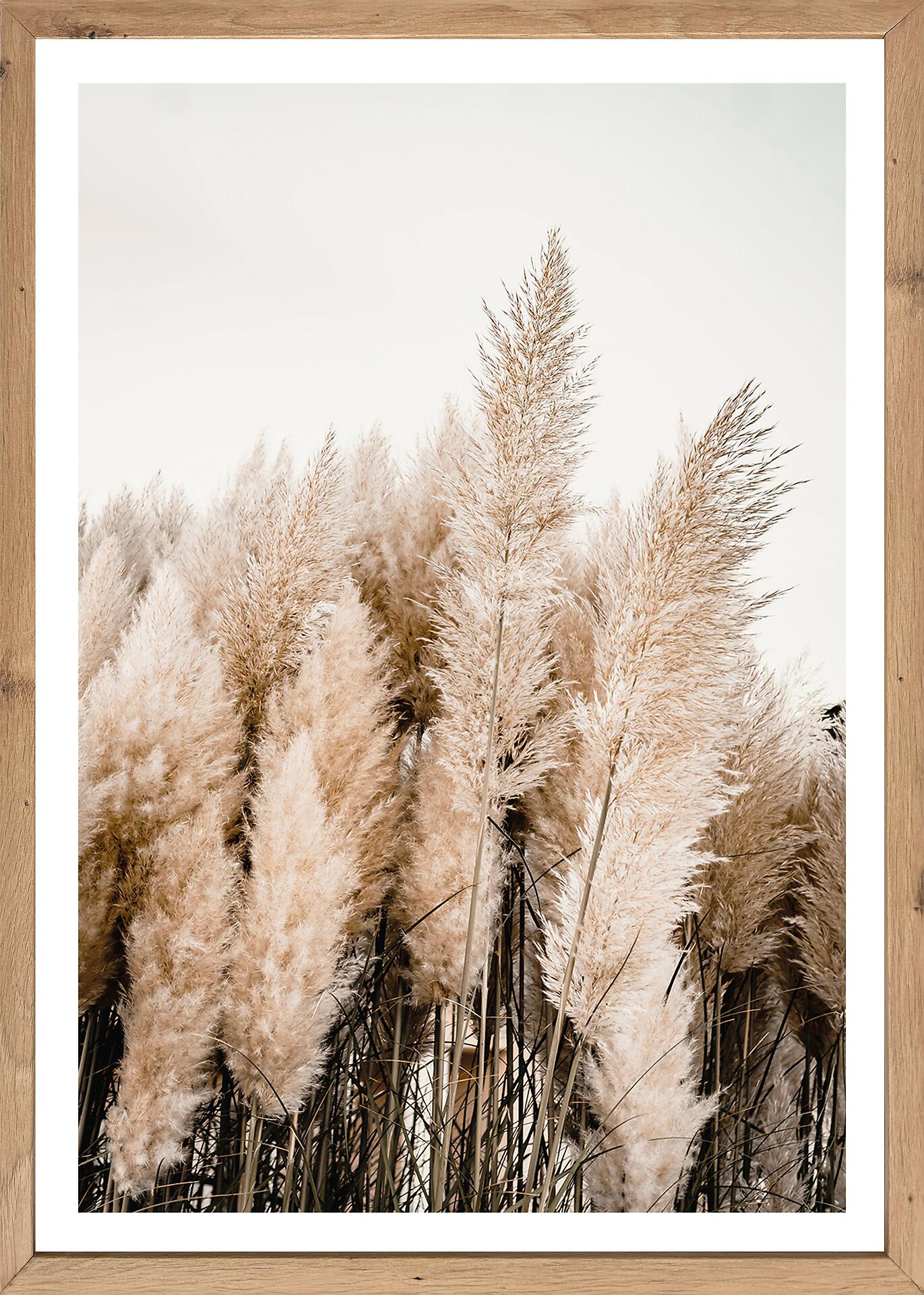 Gerahmtes Bild Natur B/H: ca. 70x50 cm