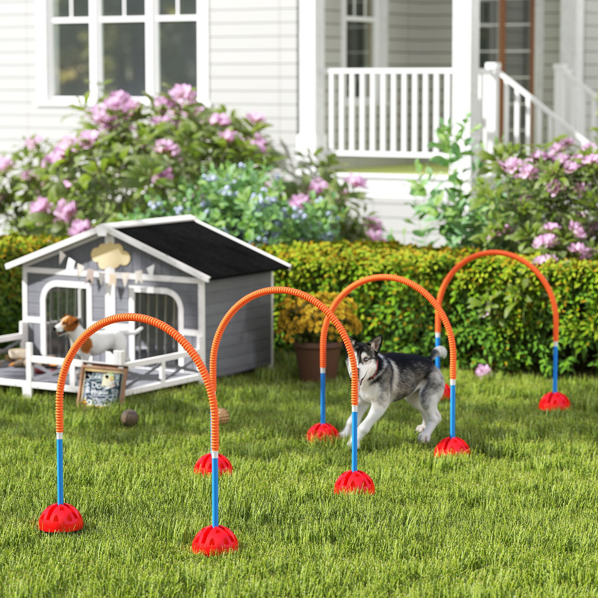 PawHut Hund Agility Set blau Kunststoff B/H/L: ca. 19,5x95x100 cm