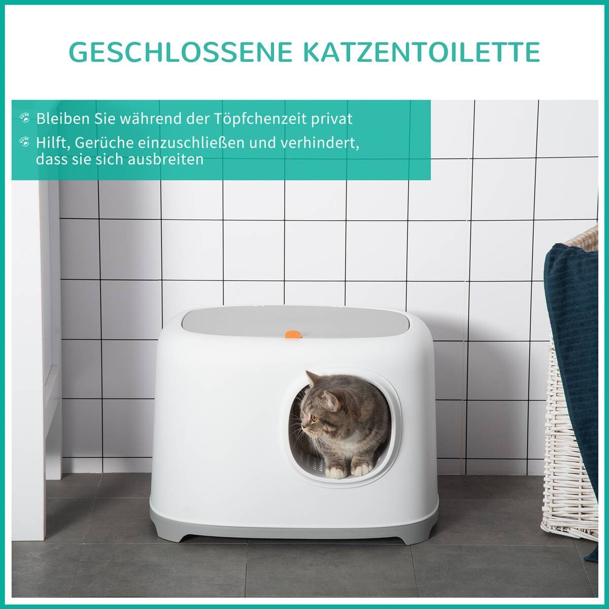 PawHut Katzentoilette hellgrau Kunststoff B/H/L: ca. 40x39x55 cm