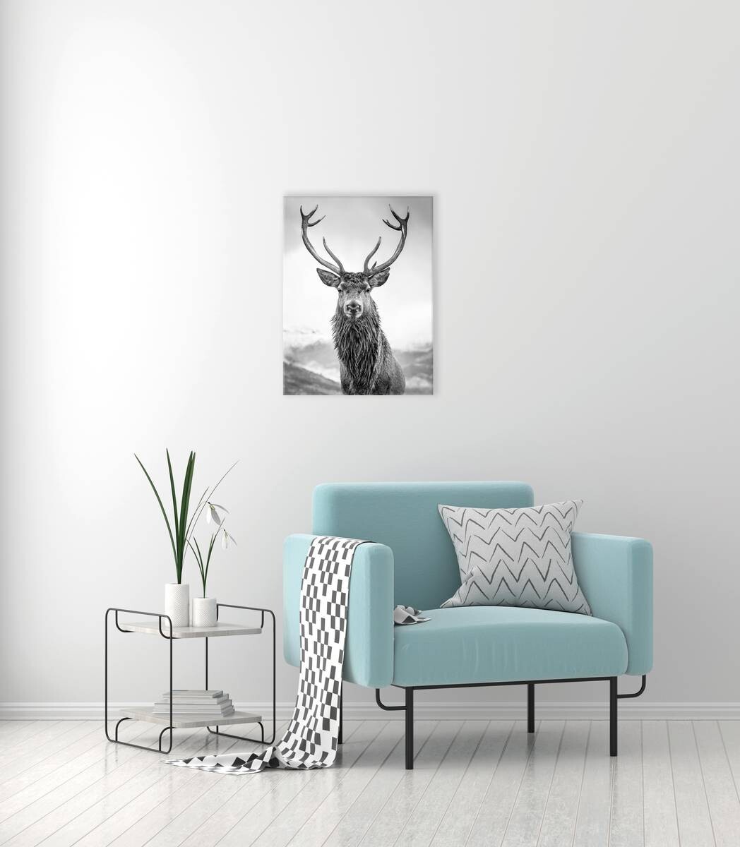 Bönninghoff Keilrahmenbild Hirschkopf B/H/L: ca. 46x2x61 cm