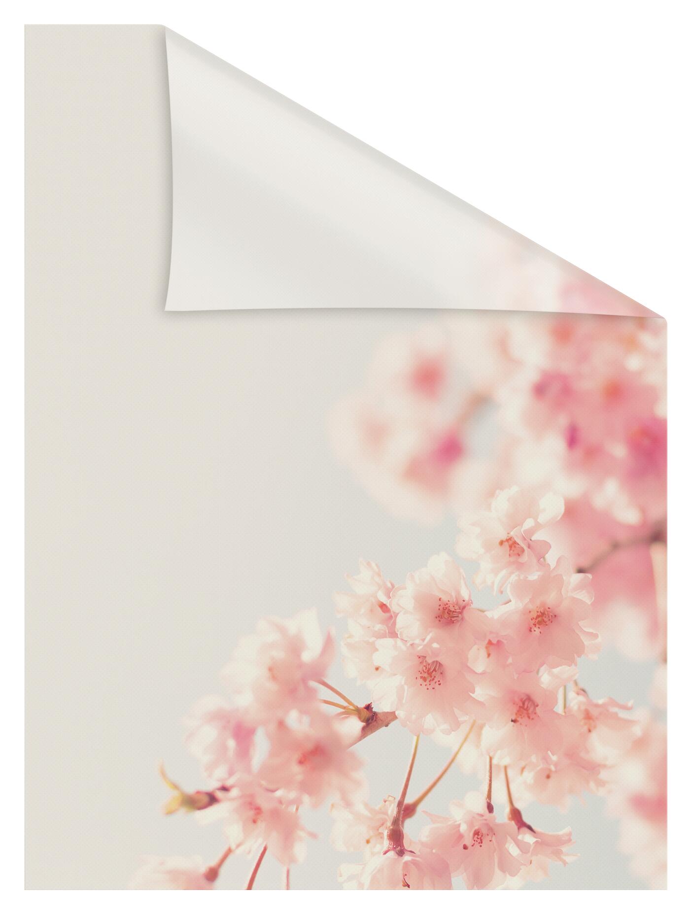 LICHTBLICK Fensterfolie Kirschbaum Kirschblüte Kirschbaum orange B/L: ca. 100x180 cm