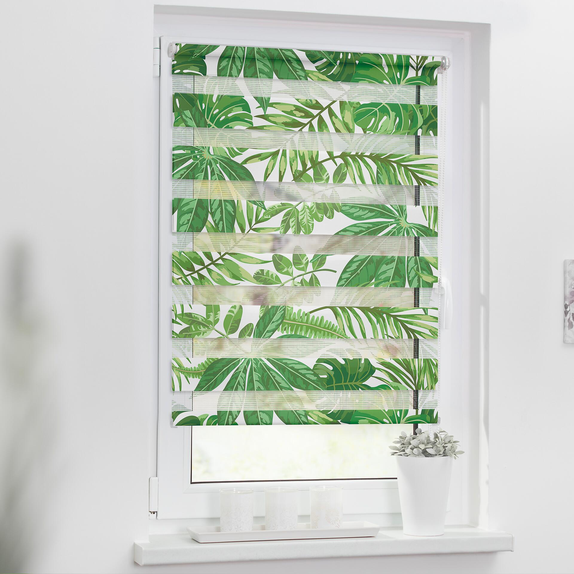 LICHTBLICK Doppelrollo Duo Blätter grün B/L: ca. 45x150 cm