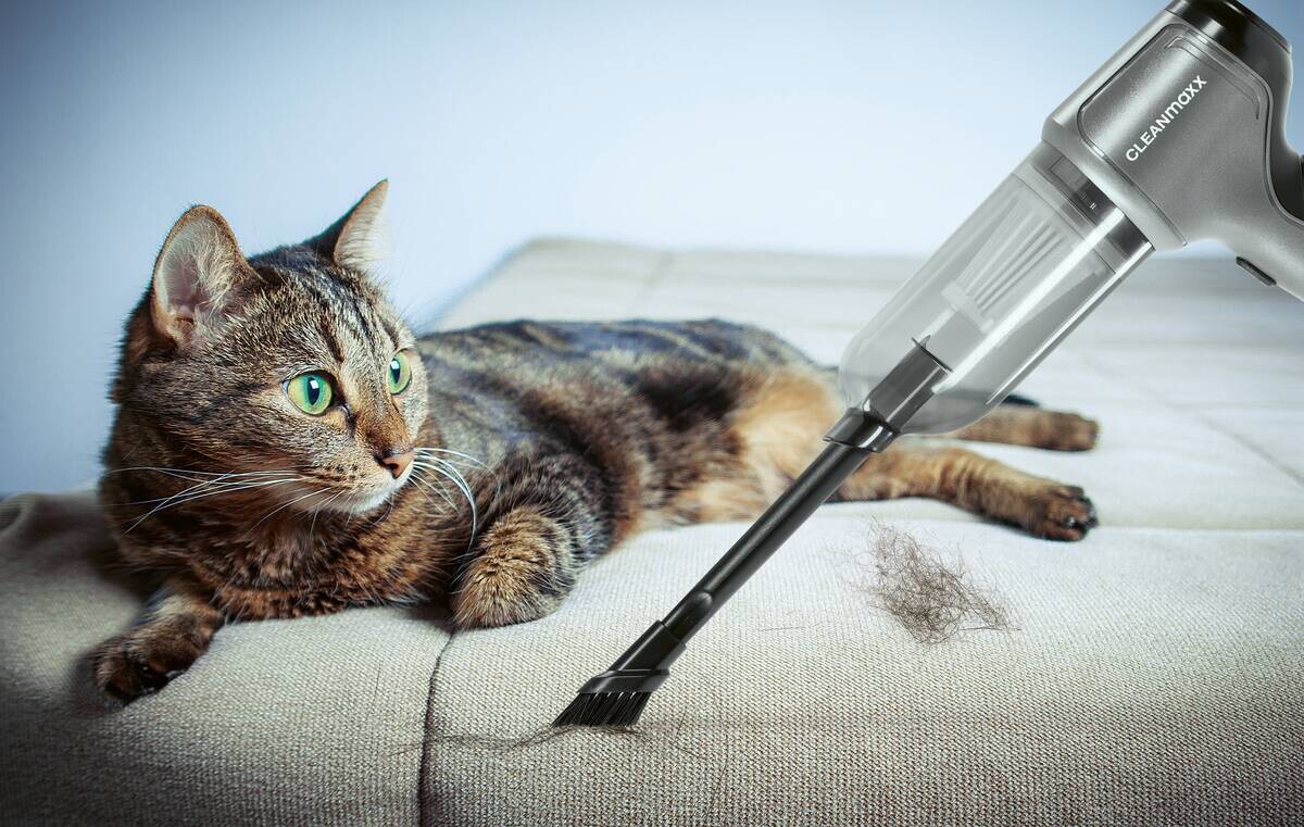 CLEANmaxx Akku-Handstaubsauger anthrazit schwarz B/H/L: ca. 17x7x23,5 cm