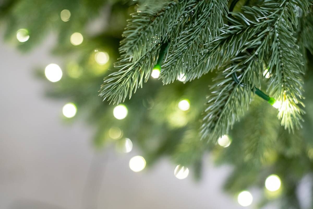 Evergreen Weihnachtsbaum Roswell Kiefer grün PVC H/D: ca. 210x122 cm