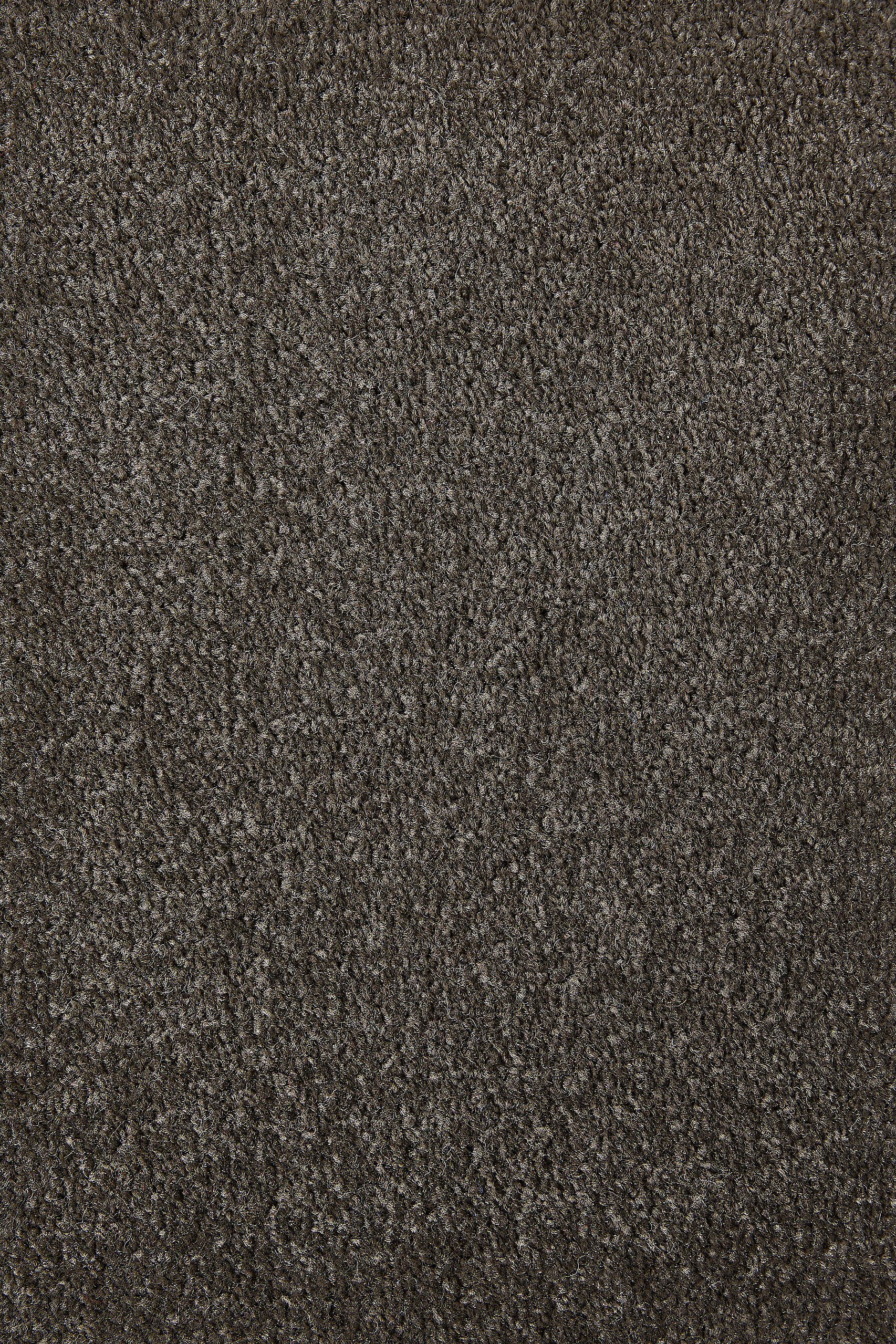 Teppichboden Sara braungrau B/L: ca. 200x400 cm pro Stück