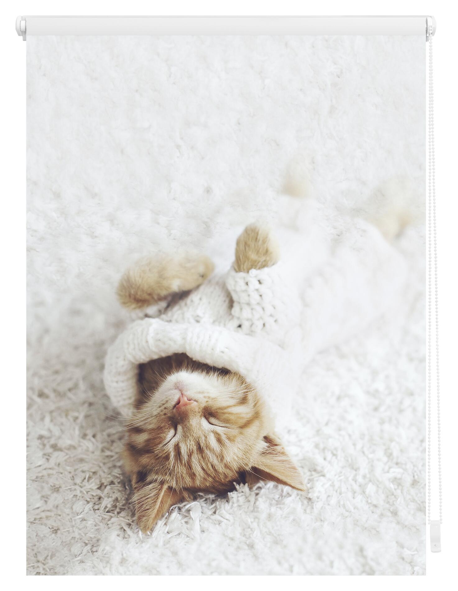LICHTBLICK Verdunkelungsrollo Sleepy Cat weiß B/L: ca. 120x150 cm