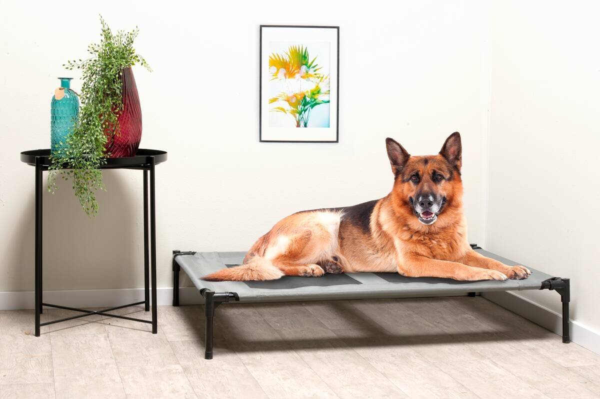 Pet Comfort Haustierbett grau Polyester B/H/L: ca. 106x17x76 cm