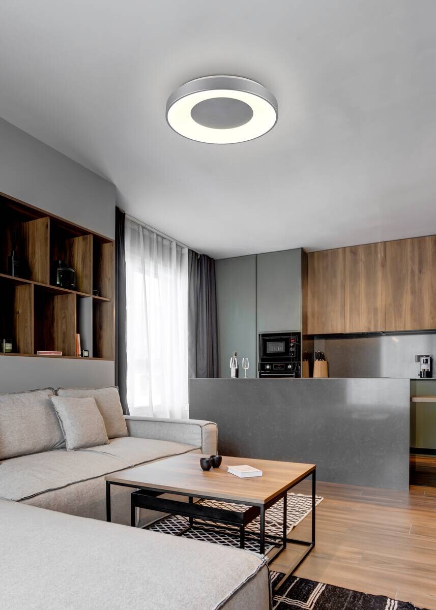 Reality Deckenleuchte California silber weiß Kunststoff H/D: ca. 7x38,5 cm