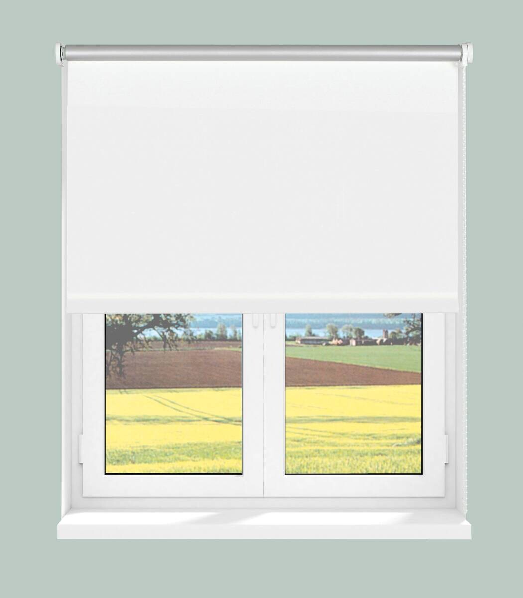 Boviva Thermo Seitenzugrollo Verdunklungsqualität weiß B/L: ca. 92x175 cm