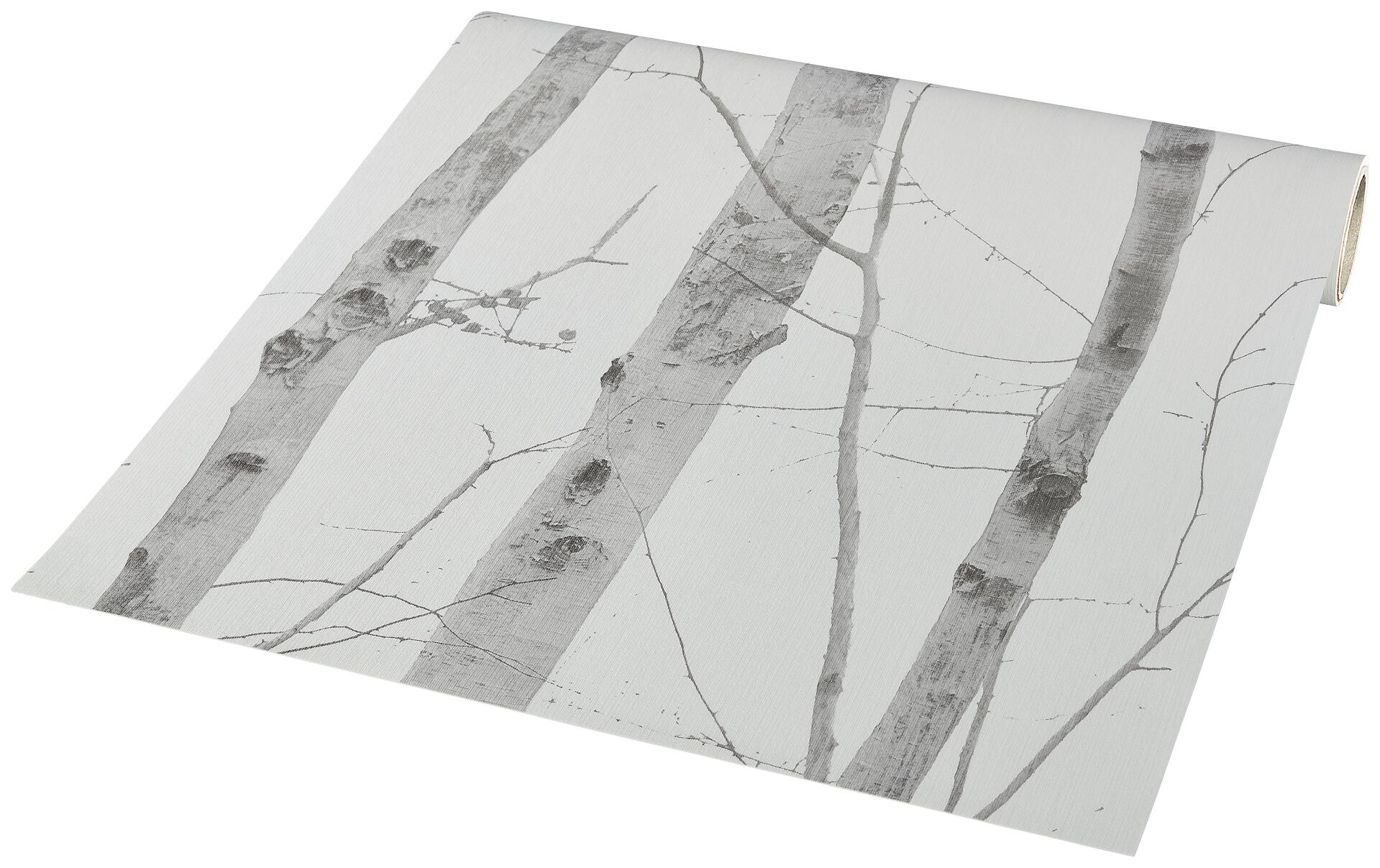 Vliestapete Birkenwald grau creme B/L: ca. 53x1005 cm