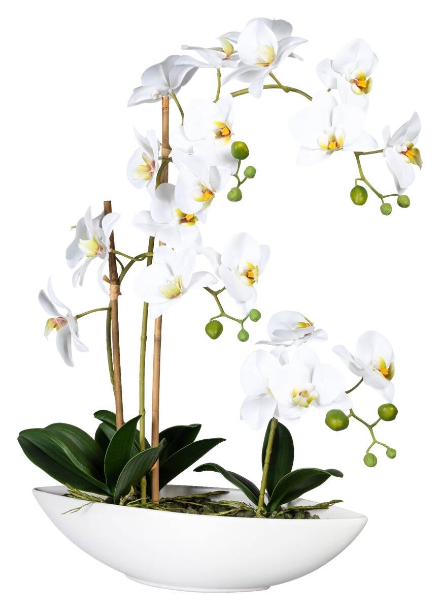 Kunstpflanze weiß Kunststoff B/H/L: ca. 9x37x11 cm