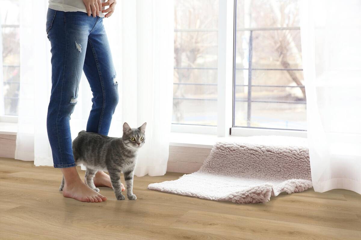 Click-Vinylboden Buchrasen ca. 2,782 m² im Paket B/L: ca. 22,8x122 cm pro Paket