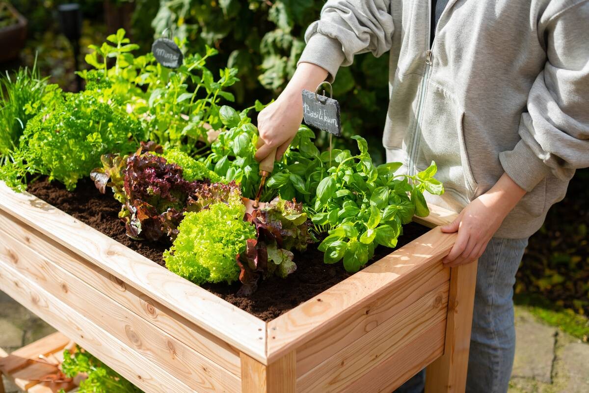 Westmann Stelzenhochbeet natur Holz B/H/T: ca. 120x75x65 cm