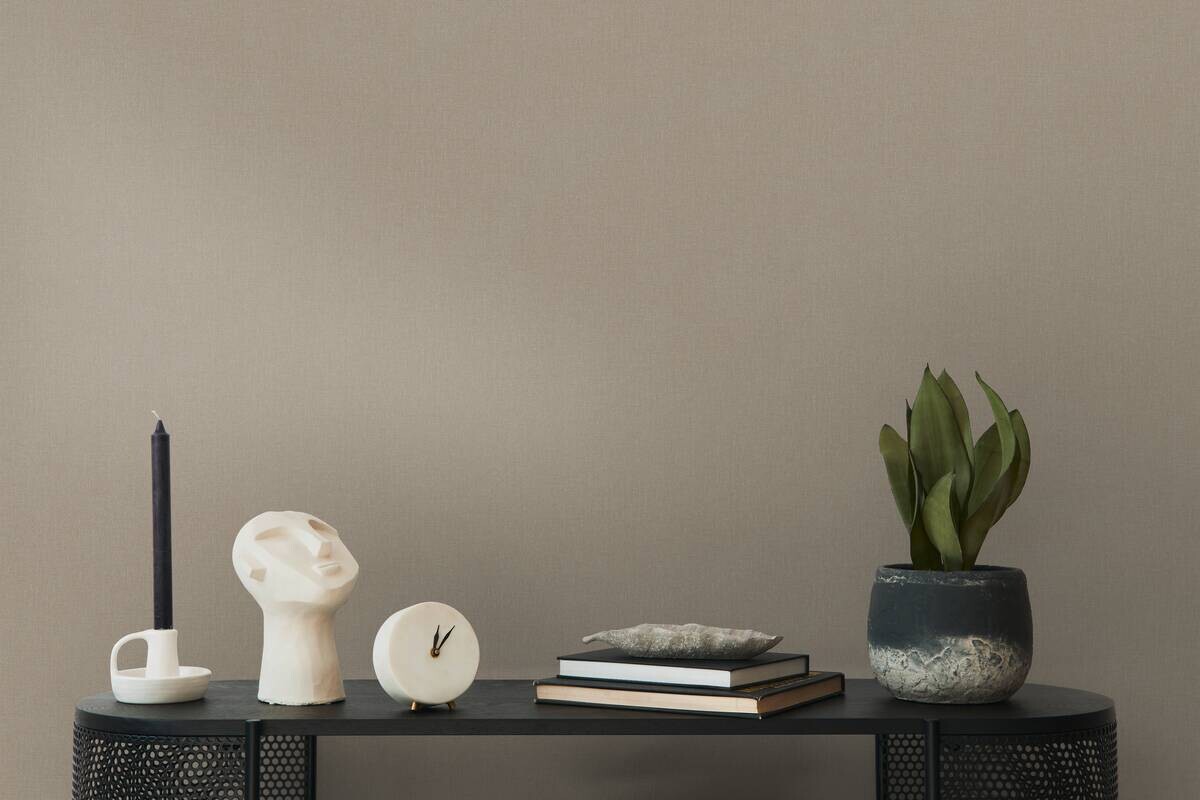 A.S.Creation Vliestapete Terra Uni braun B/L: ca. 53x1005 cm