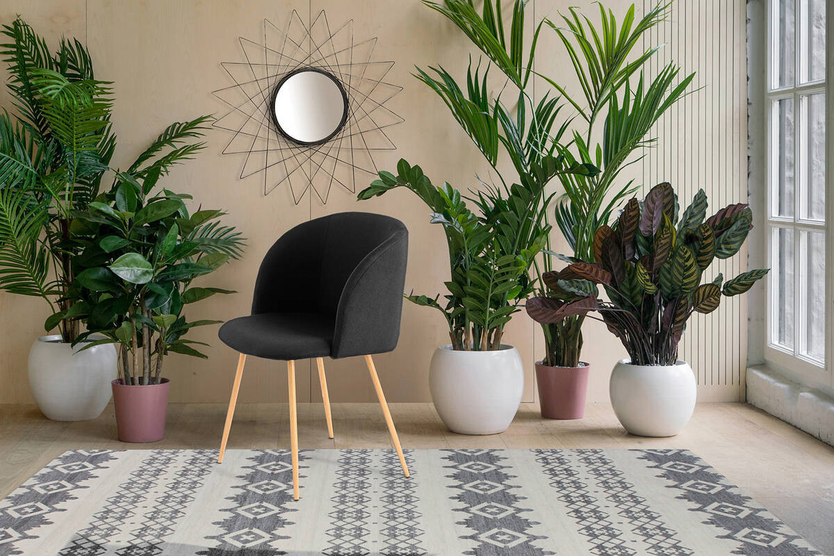 Stuhl Celina 200 2er schwarz Microfaser B/H/T: ca. 54x84x56 cm