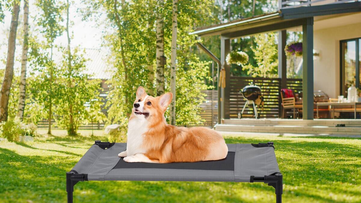 Pet Comfort Haustierbett grau Polyester B/H/L: ca. 81x17x64 cm