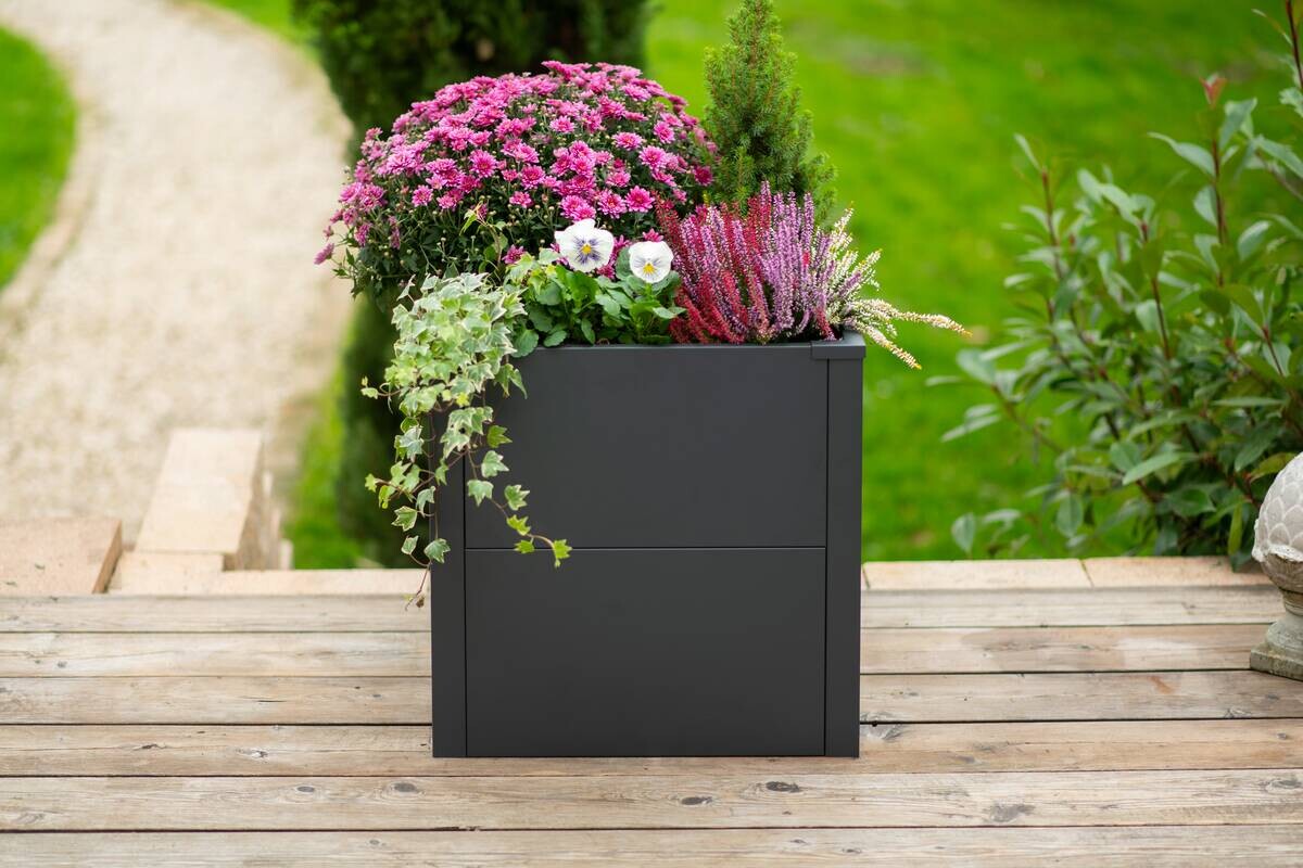 Westmann Pflanzkasten Talus anthrazit Metall B/H/L: ca. 50x50x50 cm