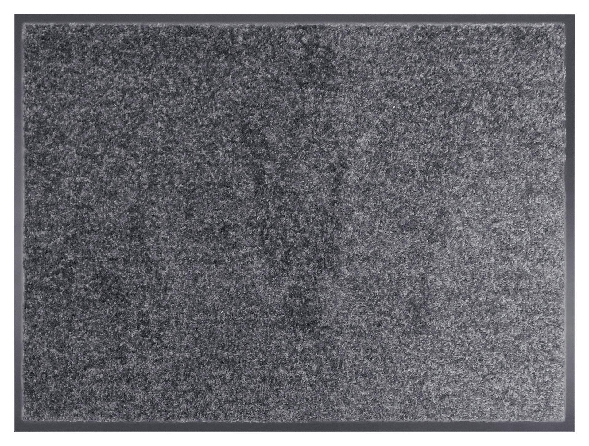 Schmutzfangmatte Alpha anthrazit B/L: ca. 80x120 cm