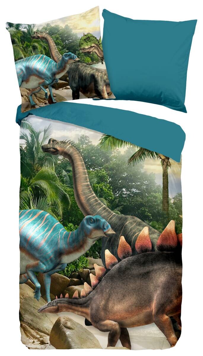 Microfaser Bettwäsche Neneh Multi Polyester B/L: ca. 135x200 cm