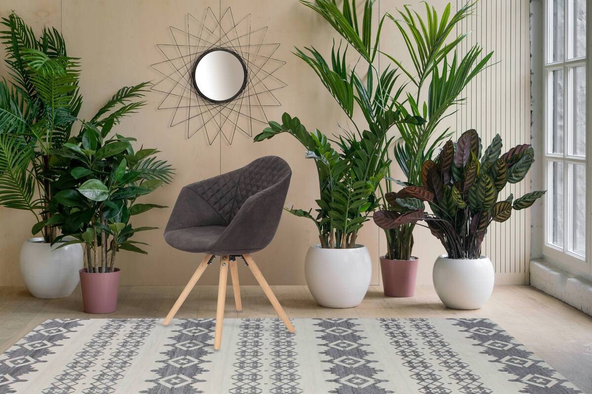 Stuhl Chadwick 100 2er braun Microfaser B/H/T: ca. 59x82x55 cm