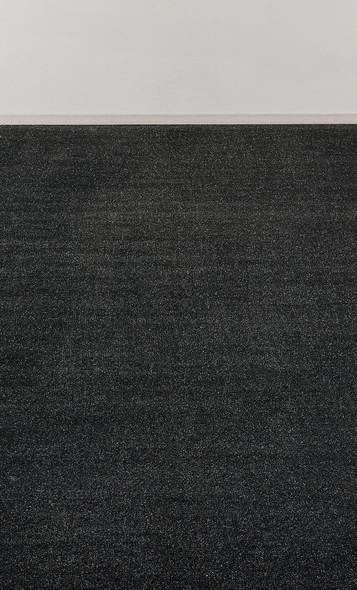 Teppichboden Harrow Flash schwarz B: ca. 500 cm pro m²