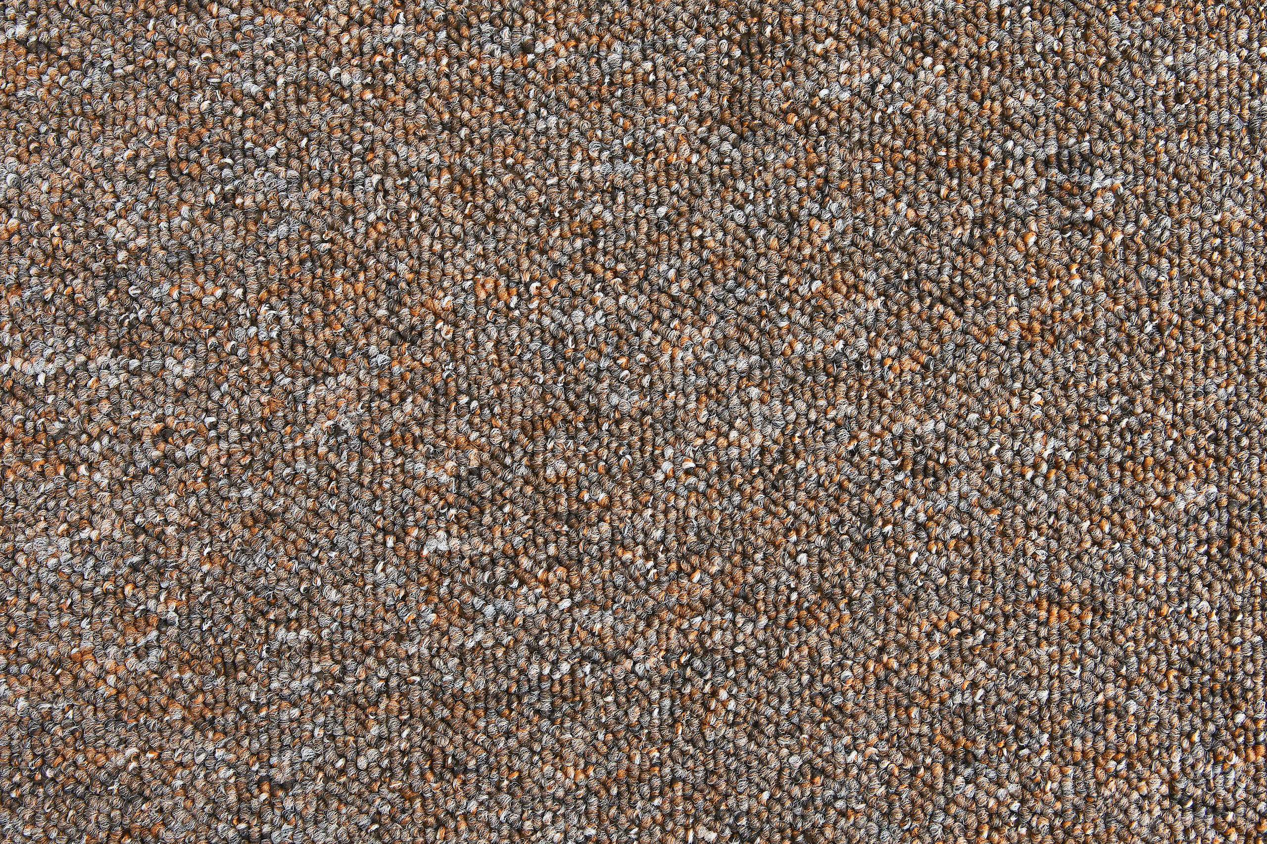 Teppichboden Rico mokka B/L: ca. 200x500 cm pro Stück