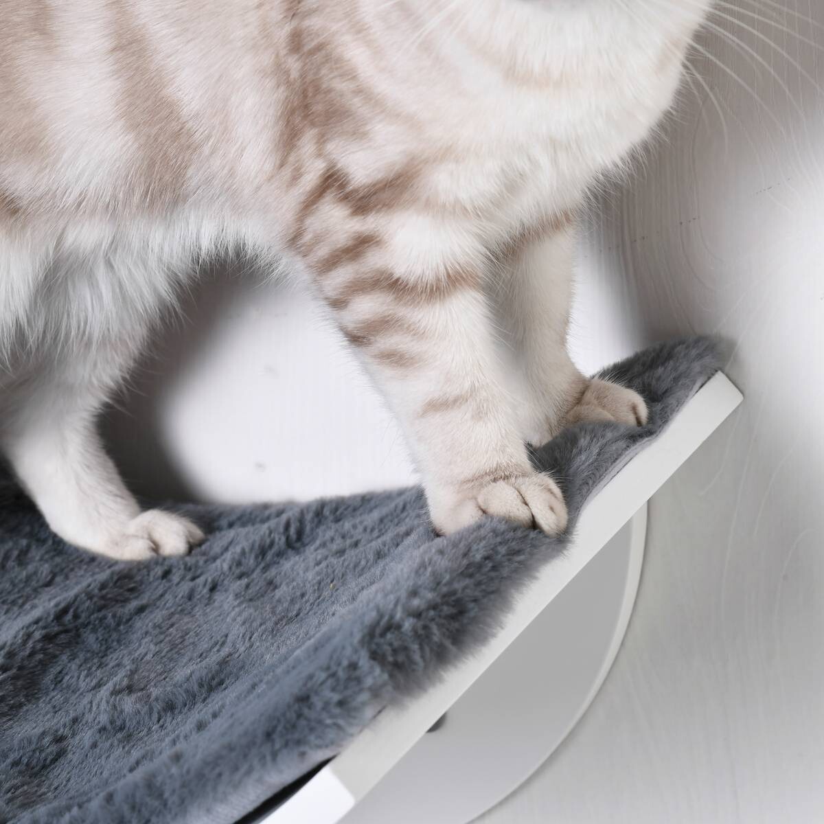 PawHut Katzenbett grau Polyester B/H/L: ca. 28x21x41 cm