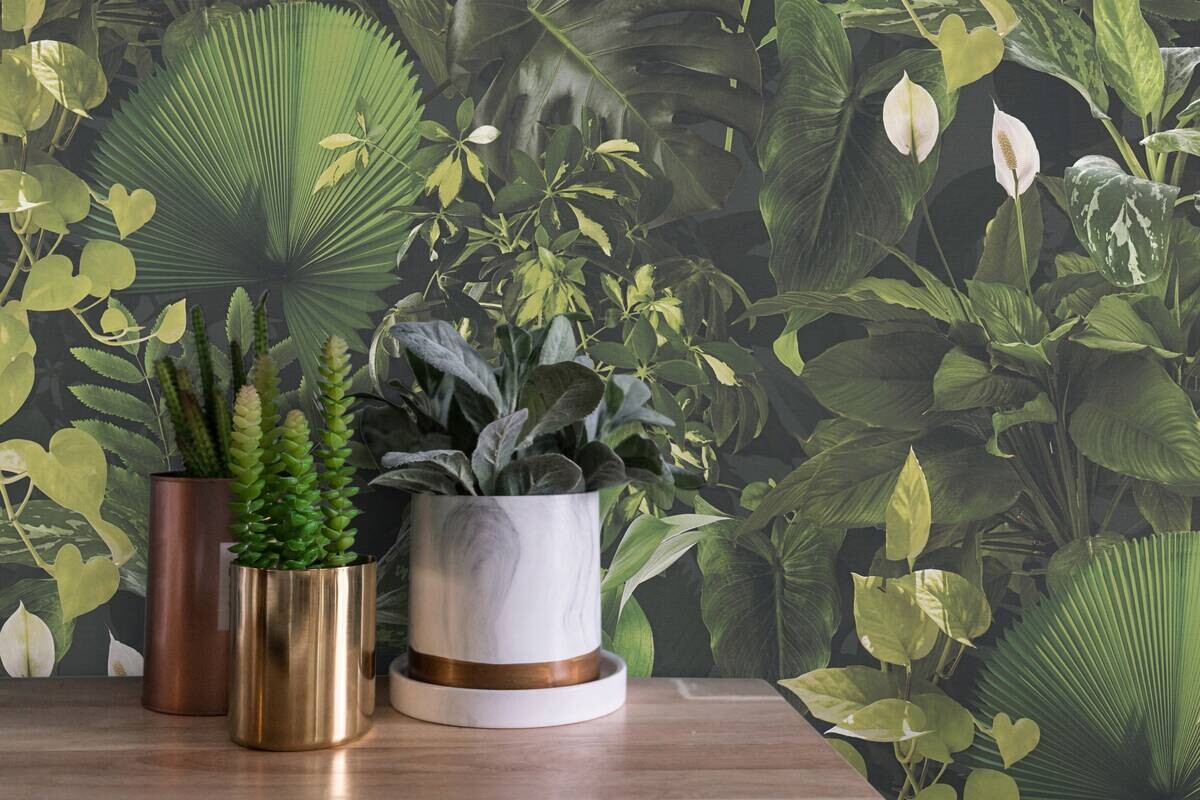 A.S.Creation Vliestapete schwarz B/H/D: ca. 53x1005x7,5 cm