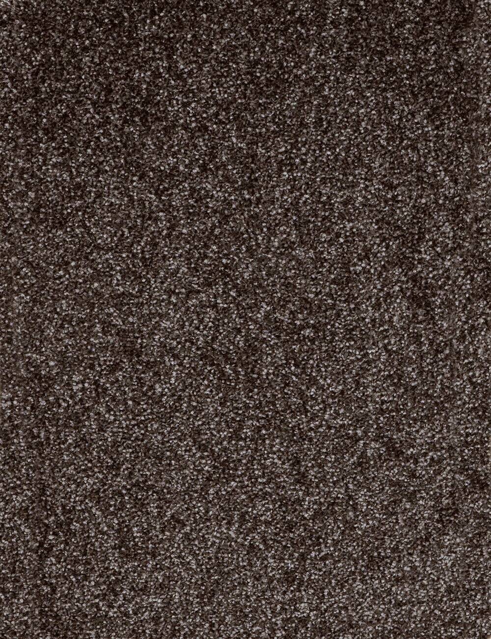 Teppichboden Kent anthrazit B: ca. 500 cm pro m²