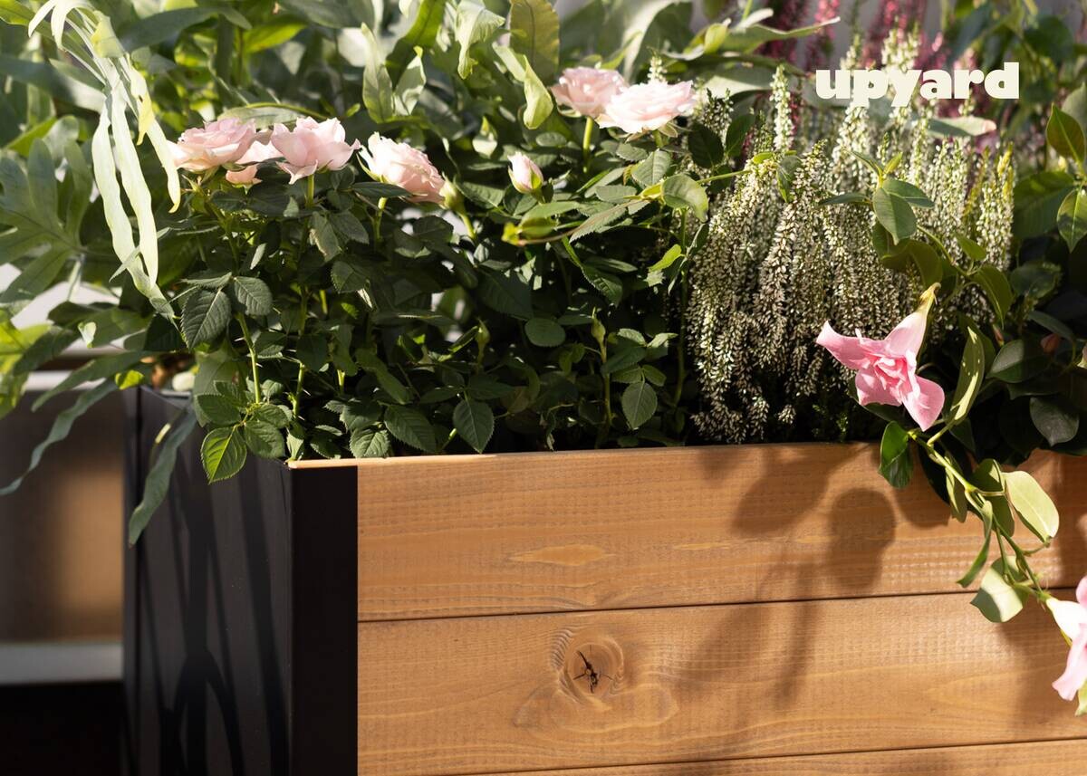 UPYARD Hochbeet MODERN braun Holz B/H/L: ca. 36x32x78 cm