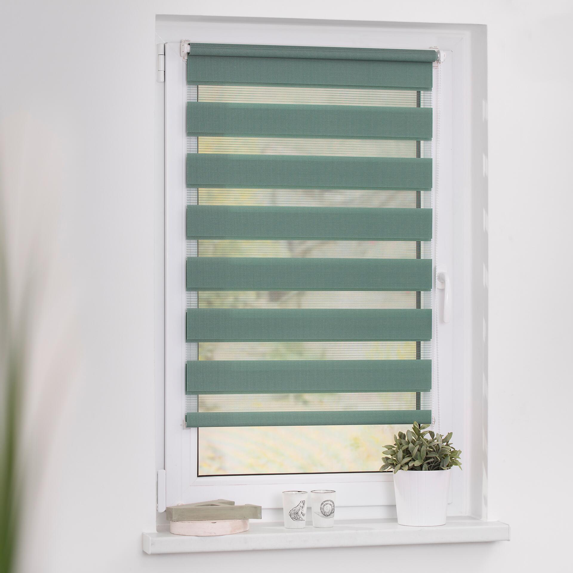 LICHTBLICK Doppelrollo Duo salbei B/L: ca. 90x150 cm