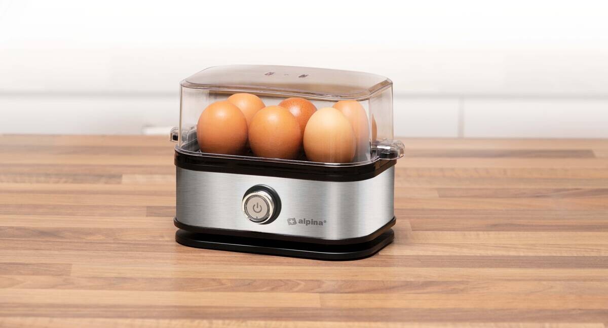 alpina Eierkocher silber
