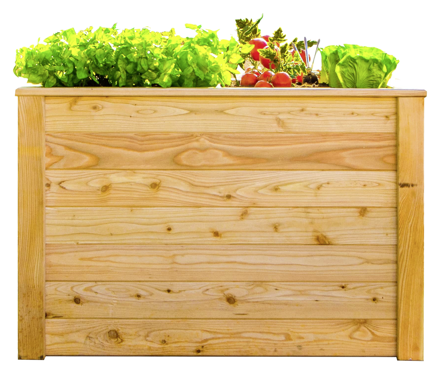 Westmann Hochbeet Lärche 100 natur Lärche B/H/L: ca. 65x66x100 cm