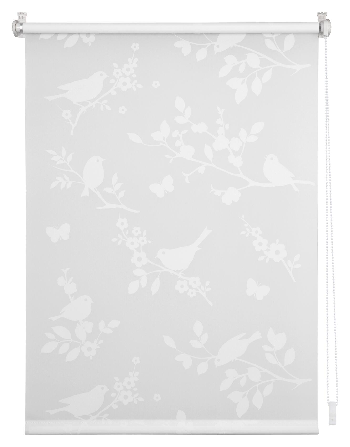 LICHTBLICK Rollo Pflanze weiß B/L: ca. 80x150 cm