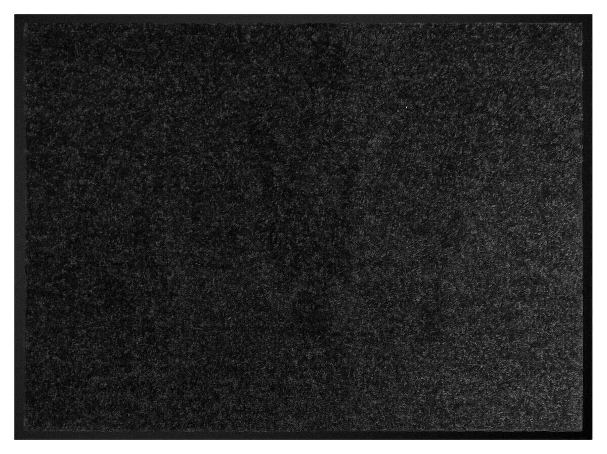Schmutzfangmatte Alpha schwarz B/L: ca. 40x60 cm