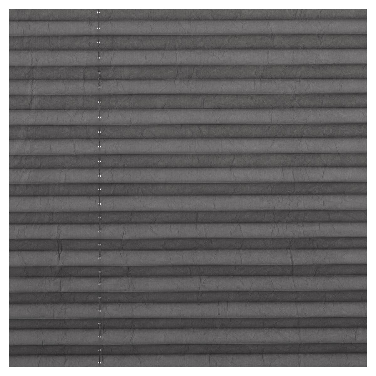 LICHTBLICK Spannplissee hellgrau B/L: ca. 60x130 cm