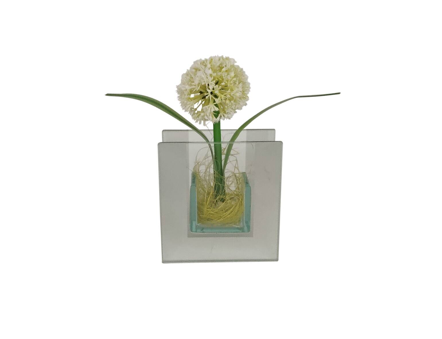 POCOline Vase klar Glas B/H/L: ca. 4x9x8,5 cm