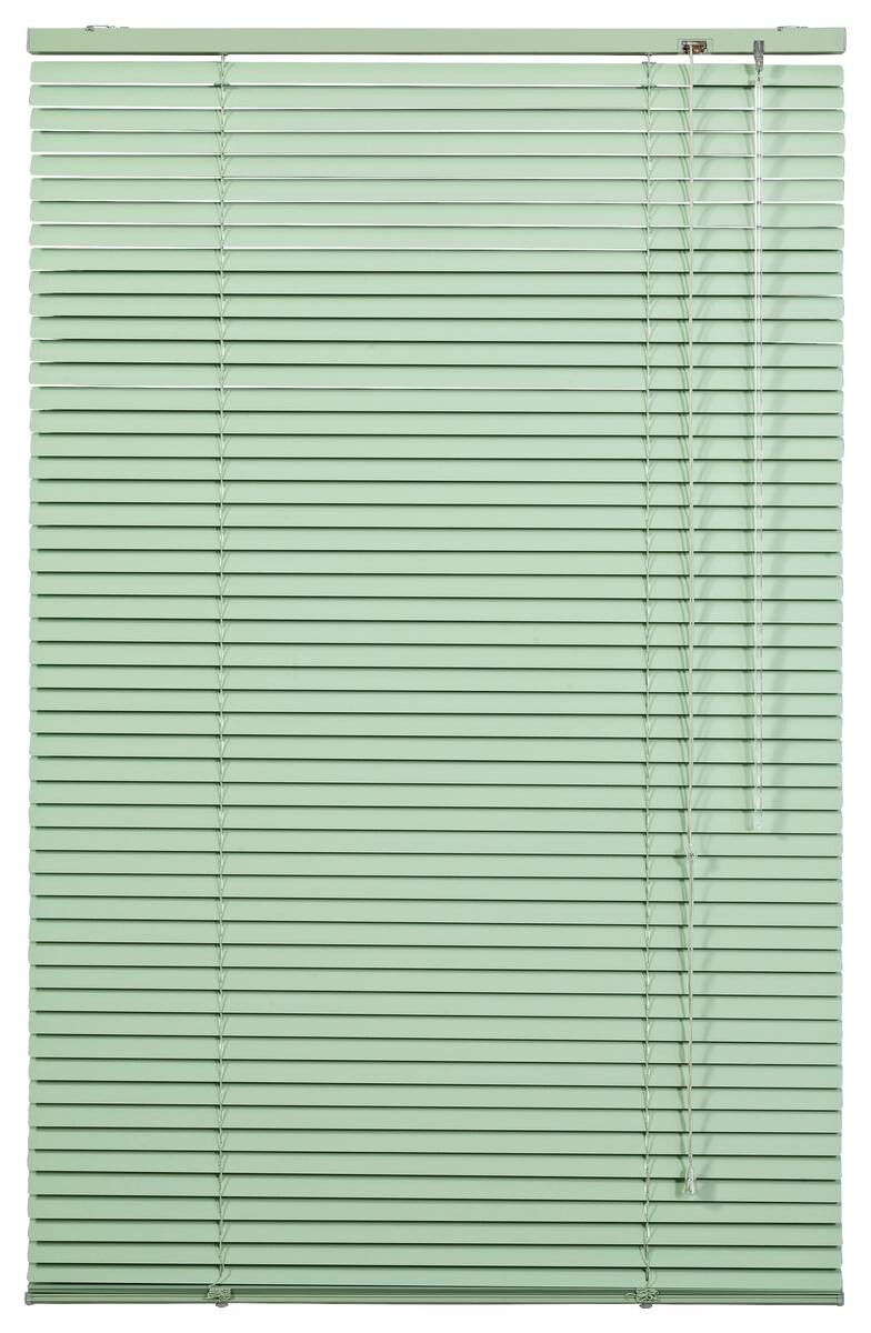 LICHTBLICK Alu-Jalousie grün B/L: ca. 60x220 cm