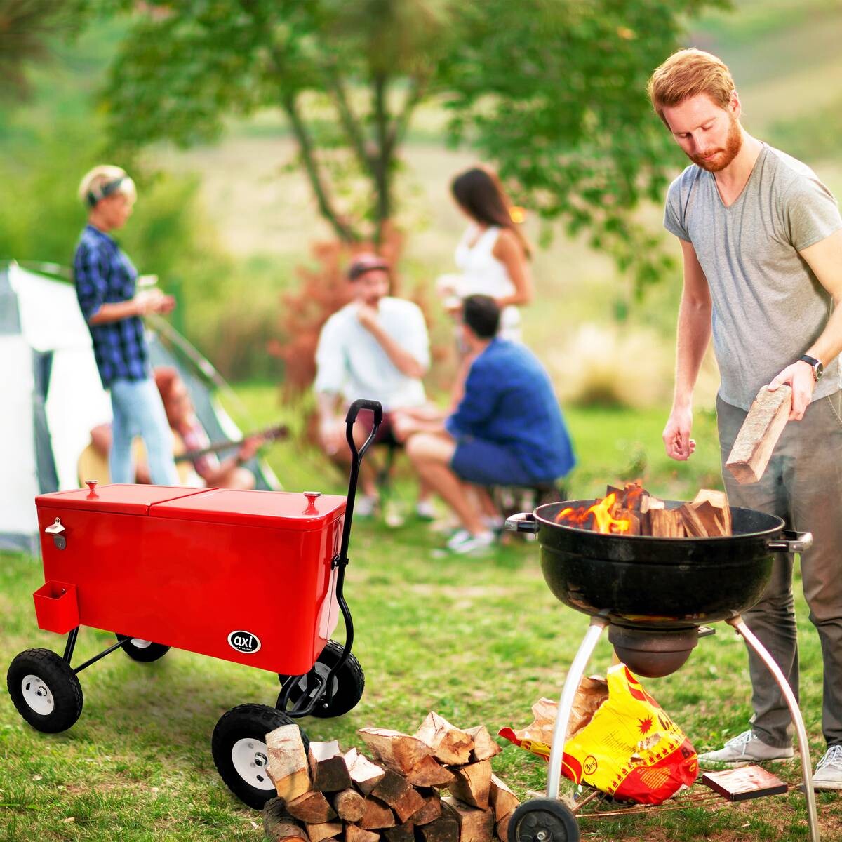 AXI Bollerwagen mit Kühlfunktion schwarz B/H/L: ca. 48x119x82 cm