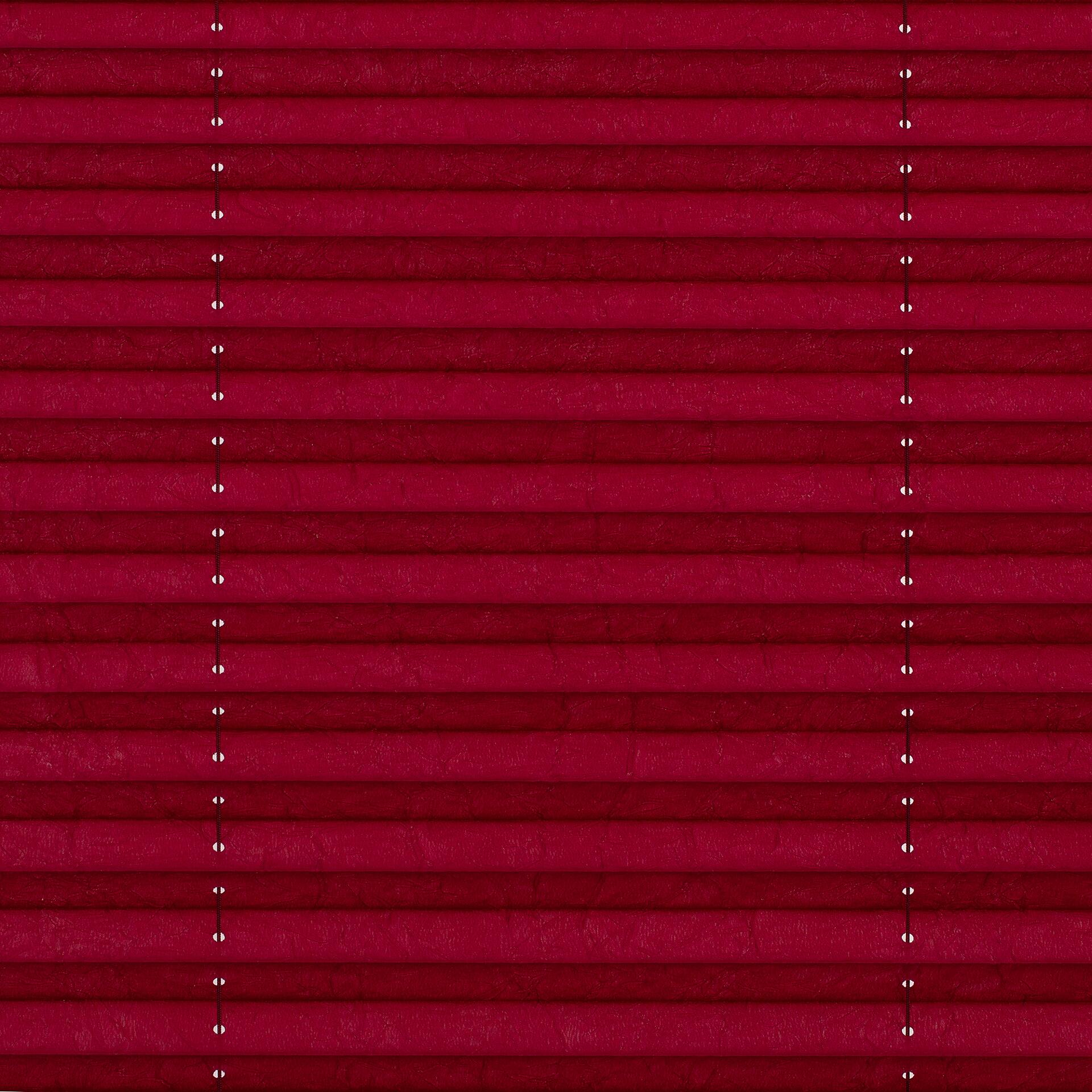 LICHTBLICK Spannplissee brombeer B/L: ca. 75x130 cm