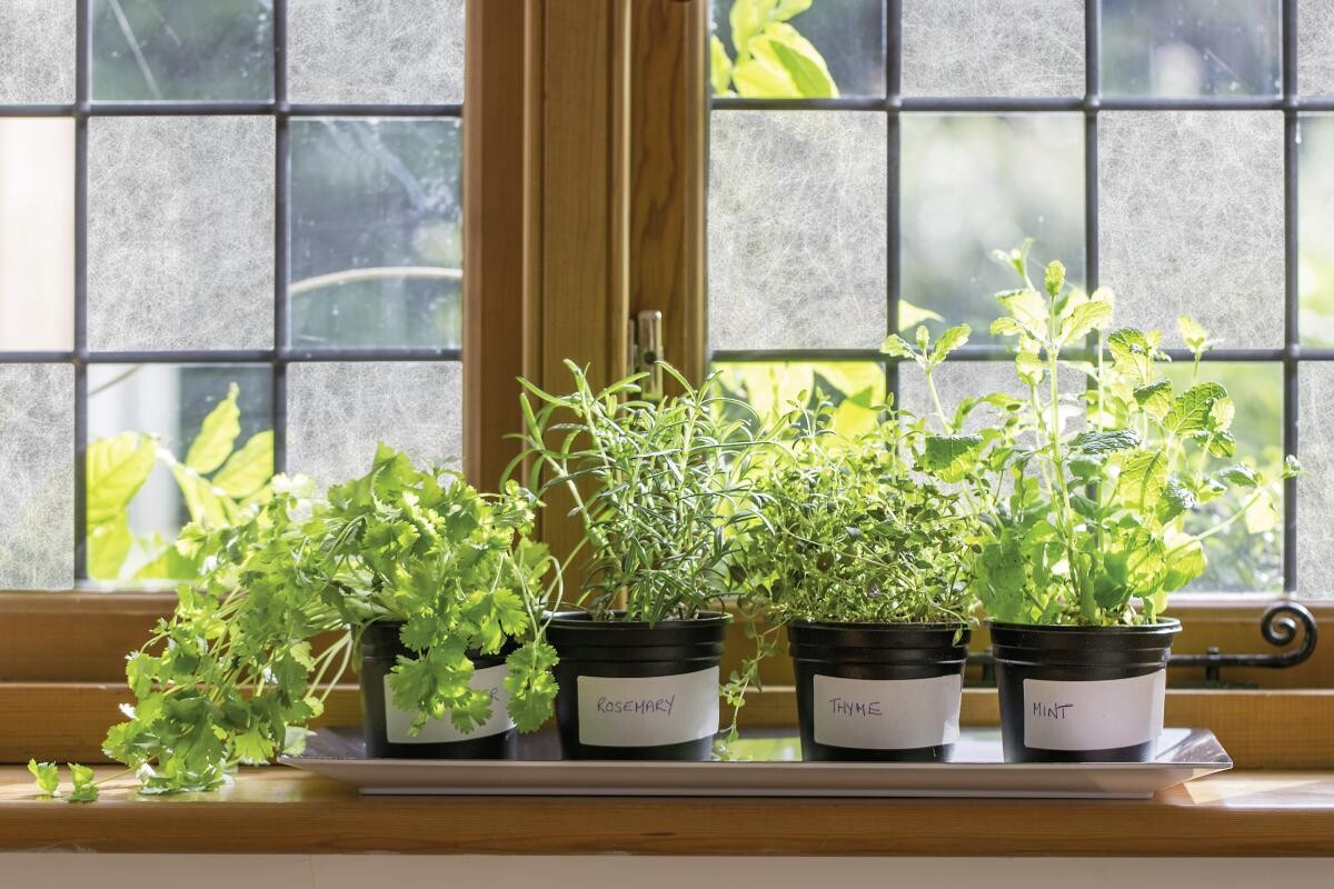 d-c-fix Fensterfolie Reispapier transparent weiß B/L: ca. 67,5x200 cm