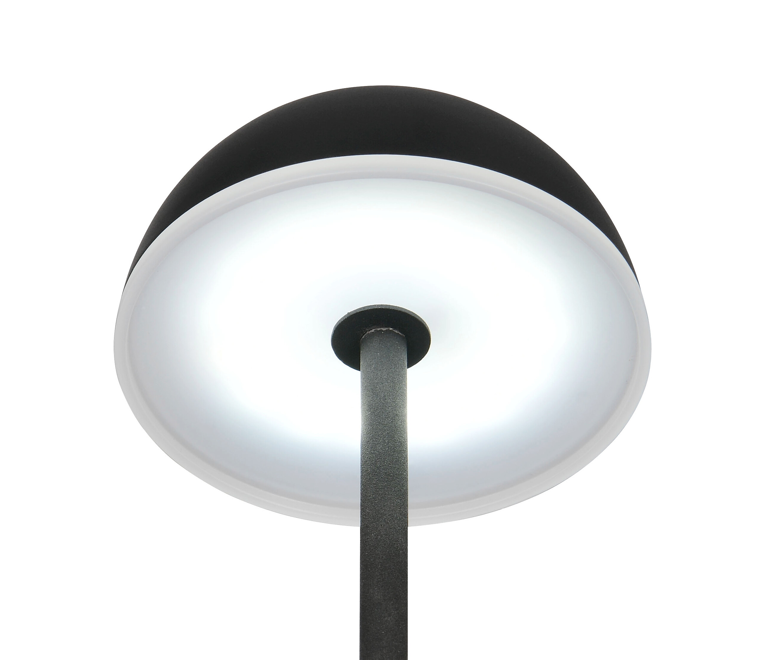 Reality Leuchten LED-Tischleuchte Tembo schwarz Kunststoff B/L: ca. 11x28,3 cm