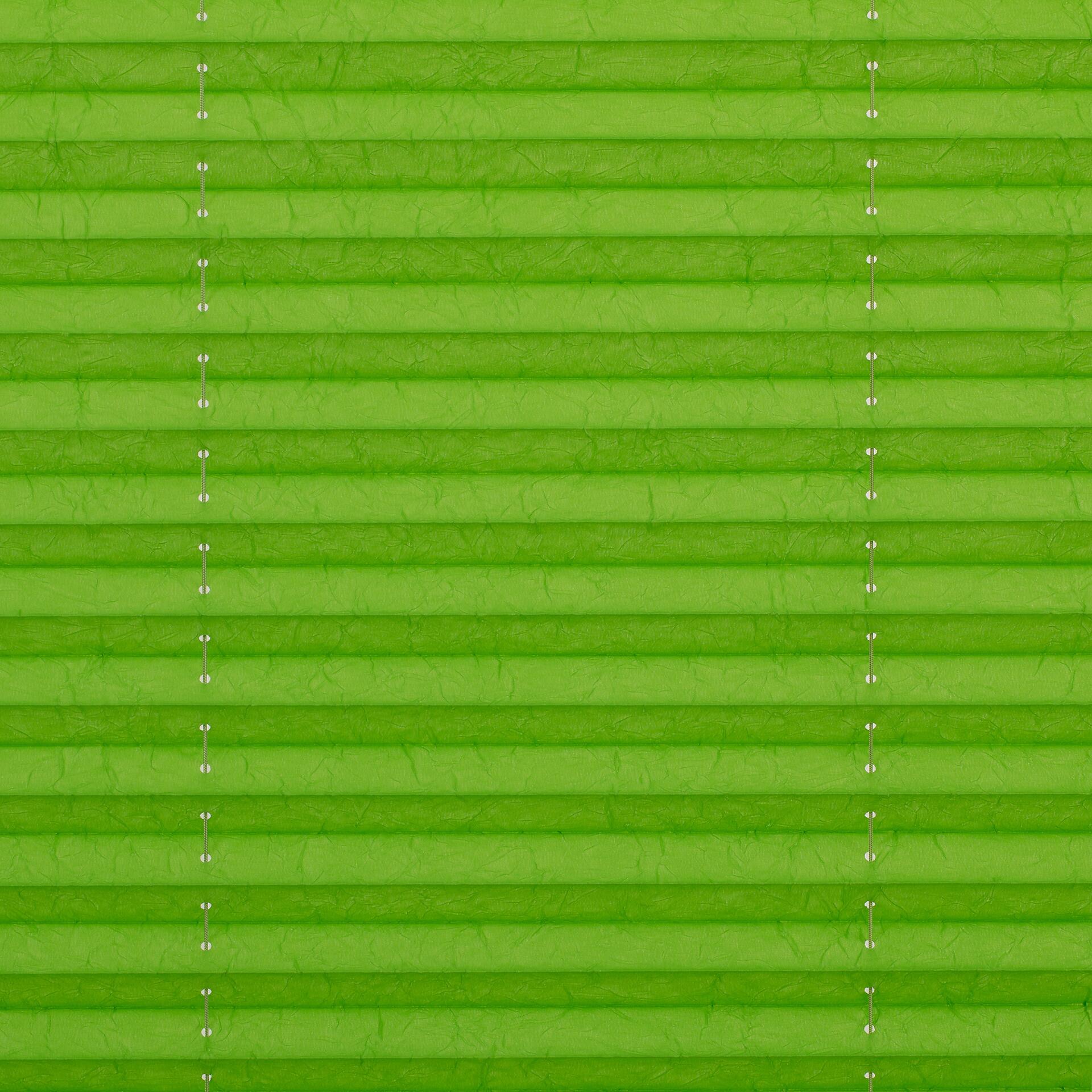 LICHTBLICK Spannplissee grün B/L: ca. 120x130 cm