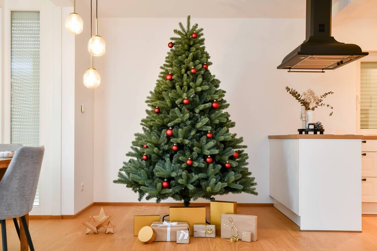 Evergreen Weihnachtsbaum Vermont Fichte