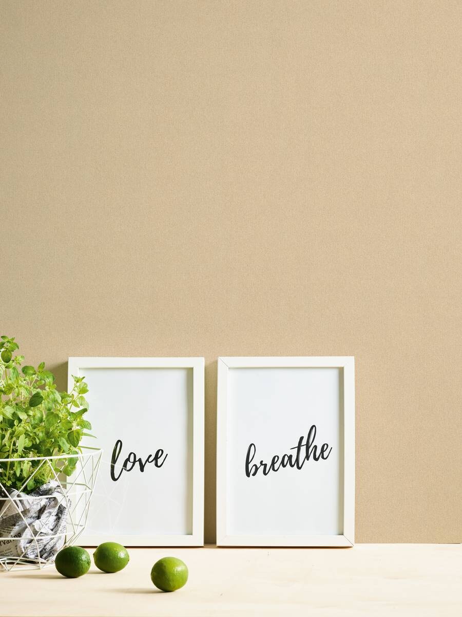 A.S.Creation Vliestapete Björn Uni beige B/L: ca. 53x1005 cm