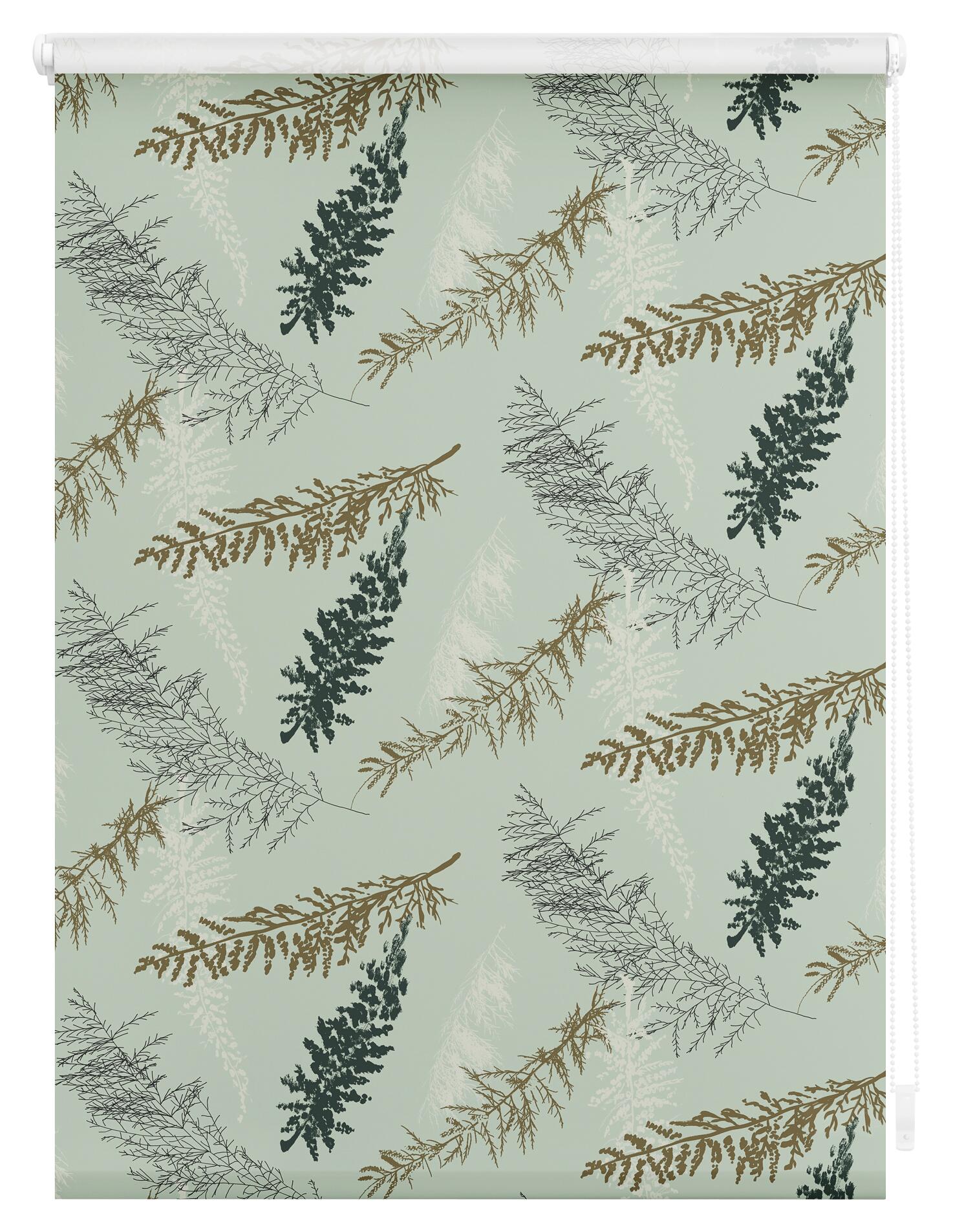LICHTBLICK Verdunkelungsrollo Fir Branches grün B/L: ca. 120x150 cm