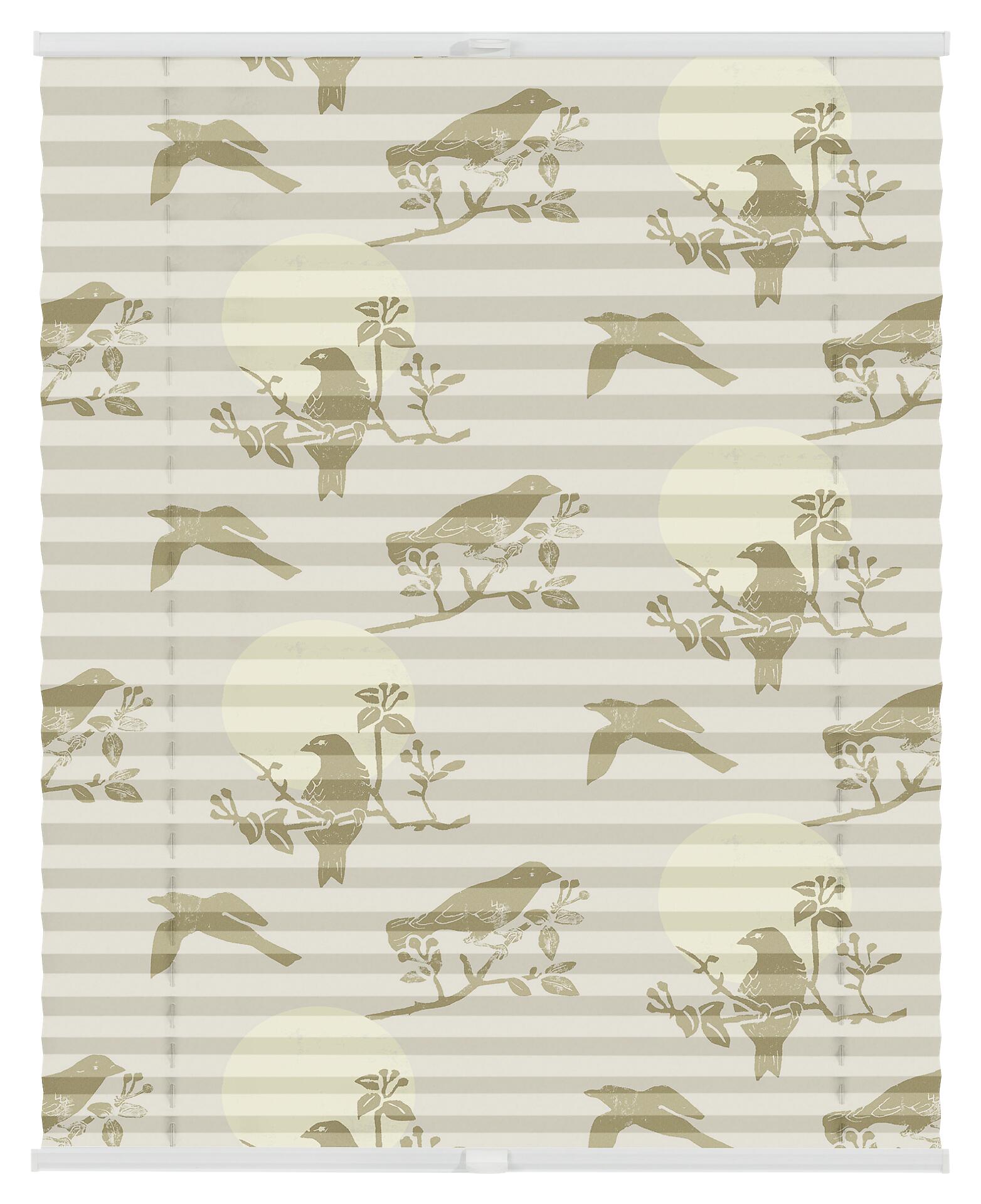 LICHTBLICK Spannplissee Moon Birds beige B/L: ca. 100x130 cm