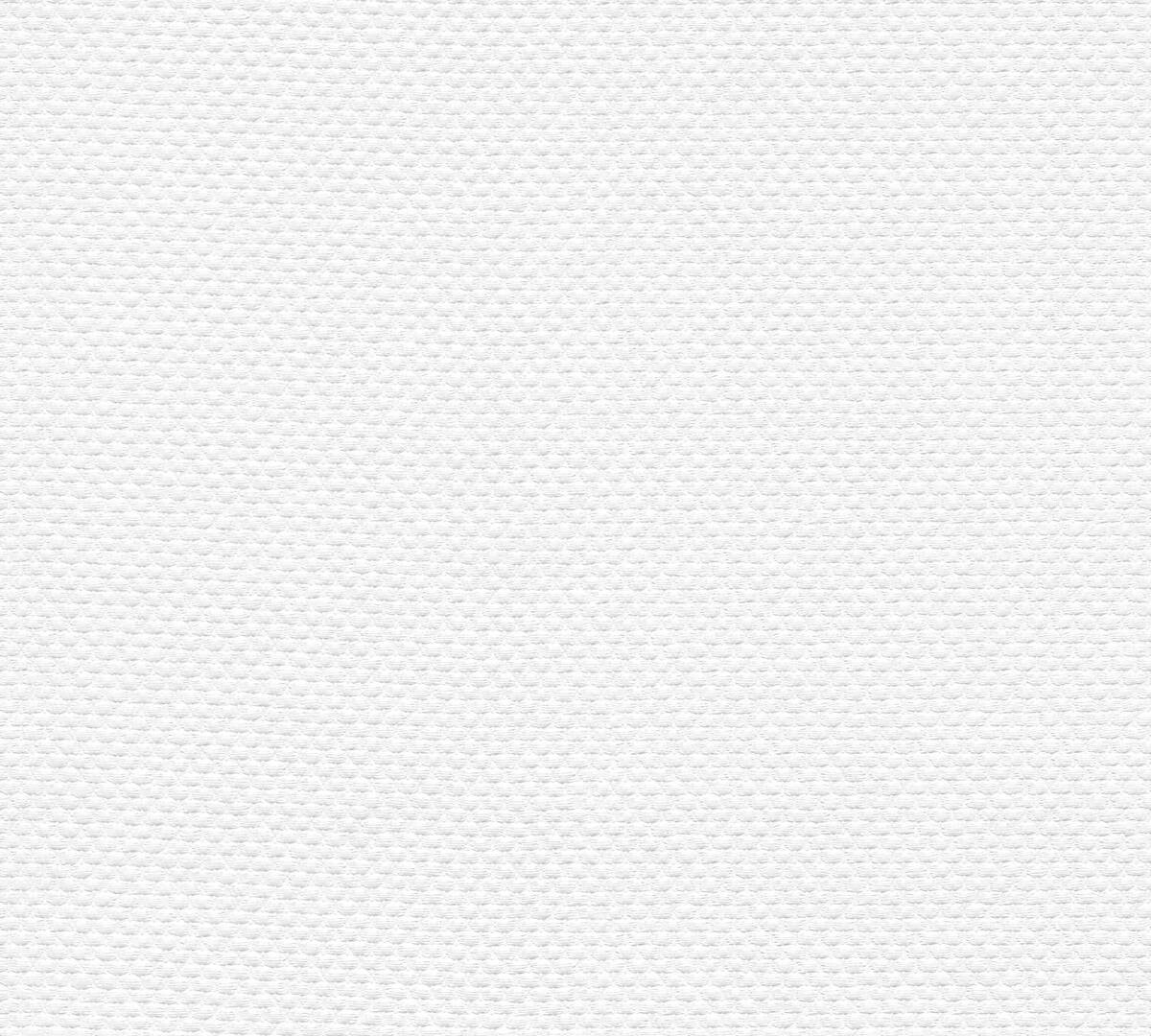 A.S.Creation Vliestapete Meistervlies 2020 Uni farblos B/L: ca. 53x1005 cm