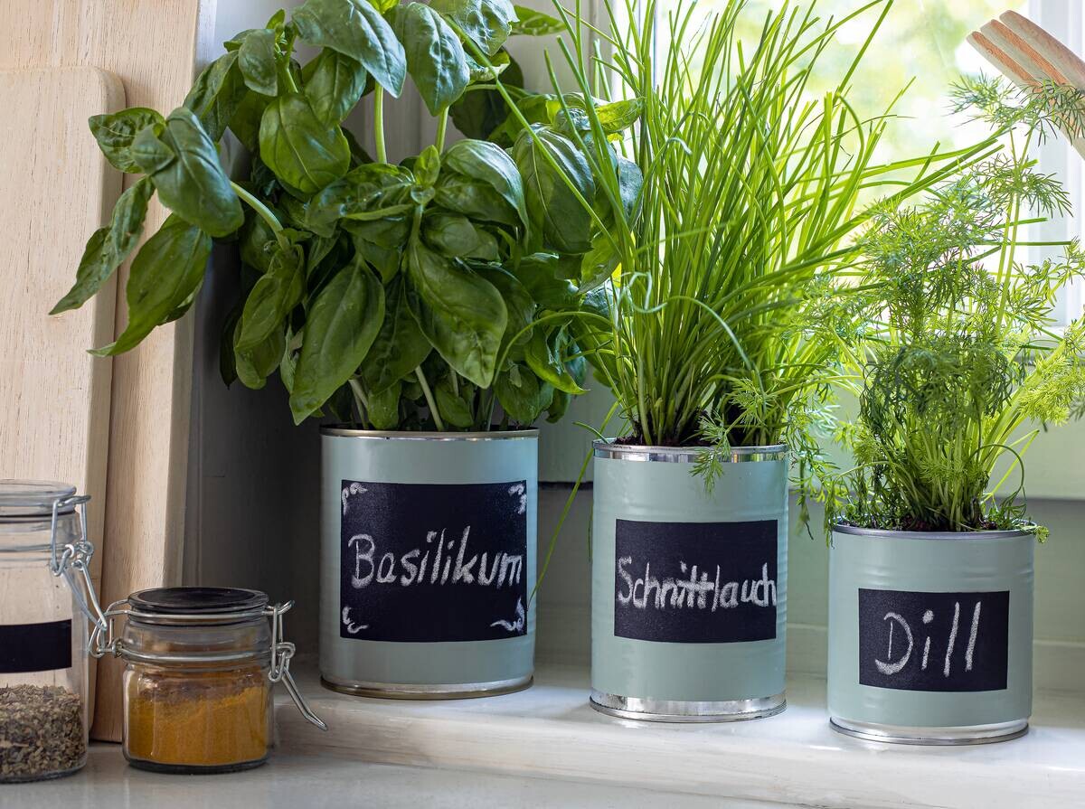 d-c-fix Klebefolie Uni Matt hellgrün B/L: ca. 67,5x200 cm